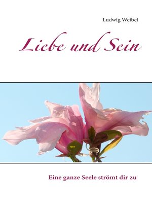 cover image of Liebe und Sein